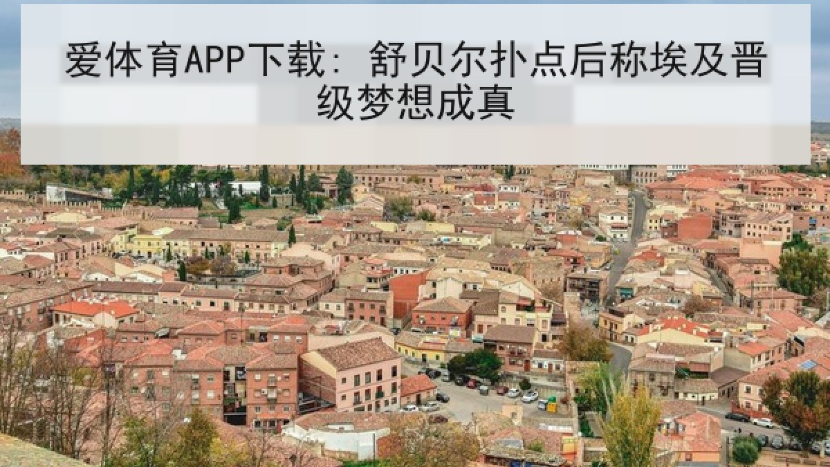 爱体育APP下载: 舒贝尔扑点后称埃及晋级梦想成真